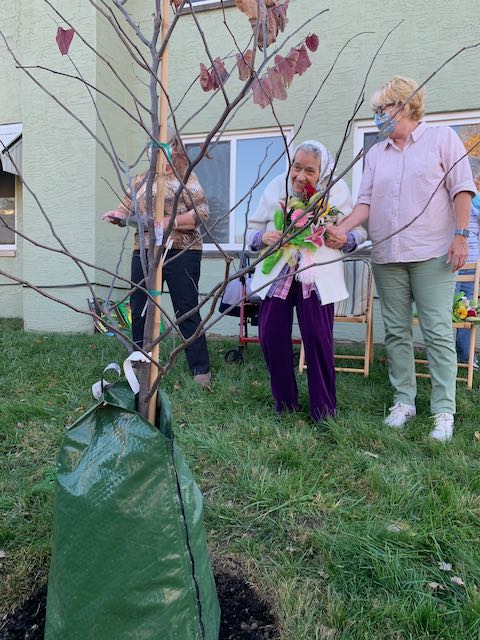 Virginia Hitchcock poses with her husbands tree