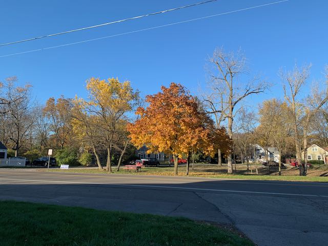 Beautiful fall day in the View